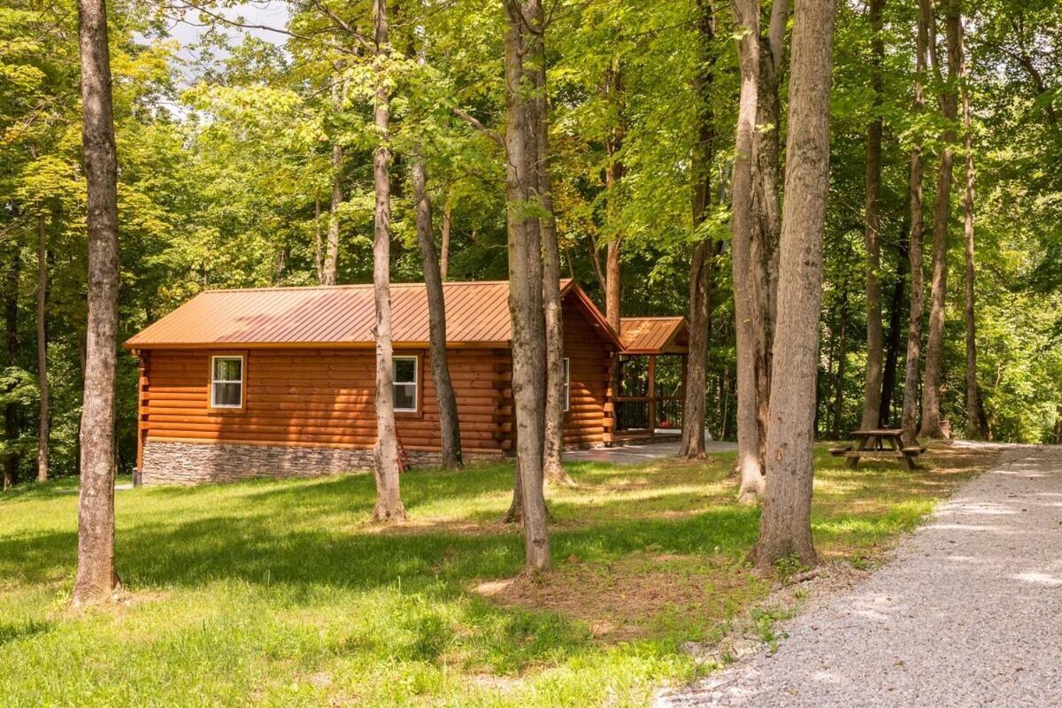 Secluded Wooded Cabin Near The Hocking Hills New Straitsville Esterno foto